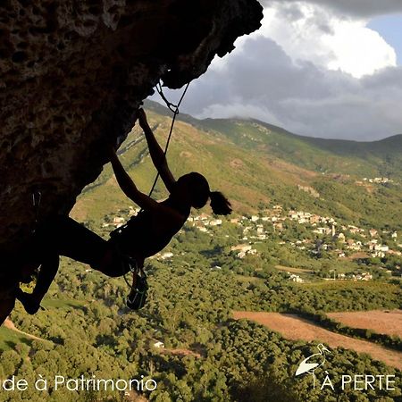 Studio Terremer Διαμέρισμα Patrimonio Εξωτερικό φωτογραφία