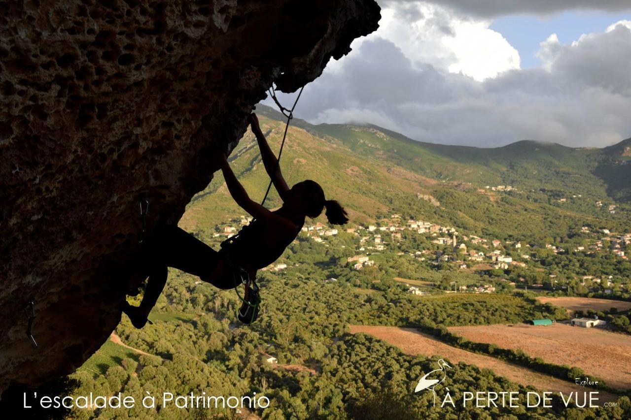 Studio Terremer Διαμέρισμα Patrimonio Εξωτερικό φωτογραφία